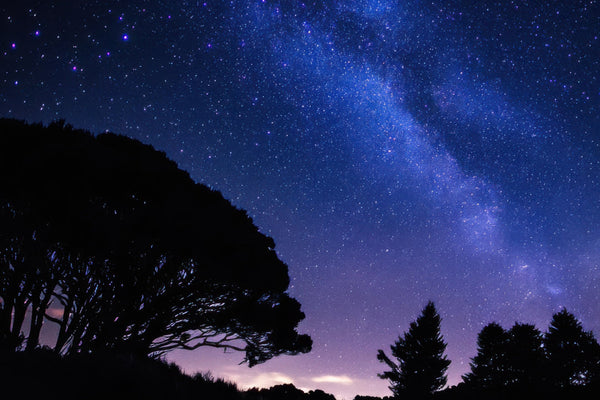 🌌 Matariki – Celestial Nailwraps for a Starry New Year